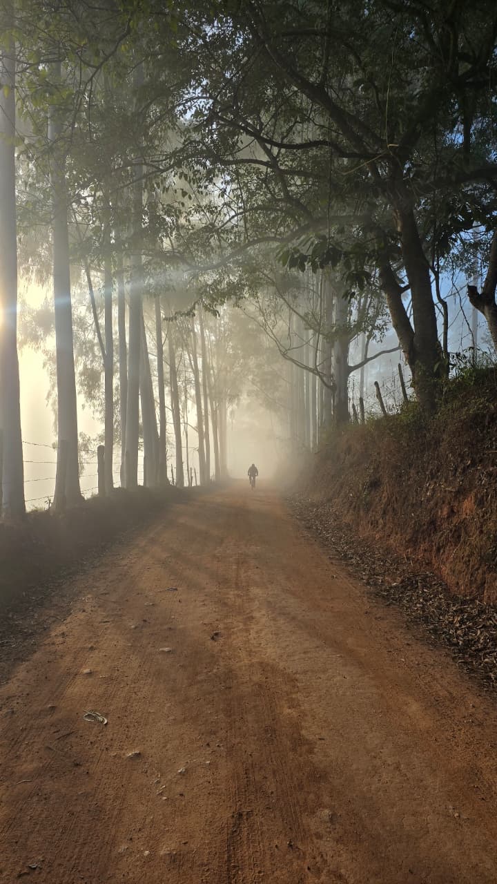 Caminho da Fé — Estrada de terra na neblina, no início da manhã